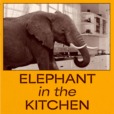 Elephant In The Kitchen album artwork