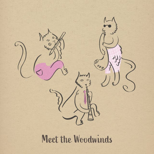 Meet The Woodwinds