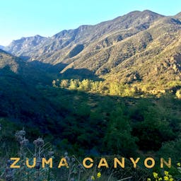 Zuma Canyon album artwork
