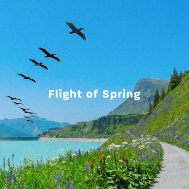 Flight Of Spring album artwork