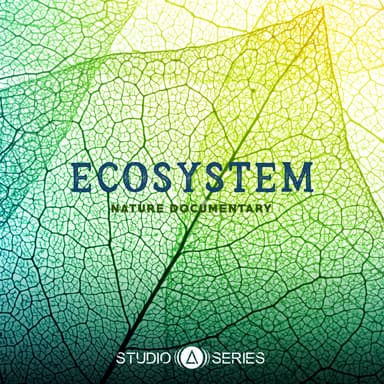 Ecosystem album artwork