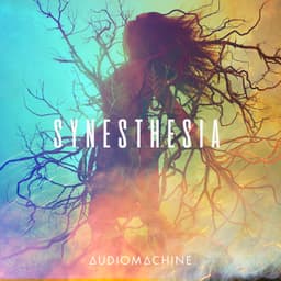 Synesthesia album artwork