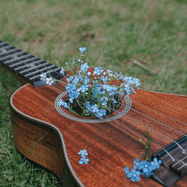 Fun Folk & Lifestyle