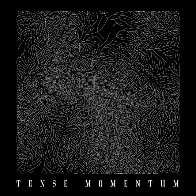 Tense Momentum