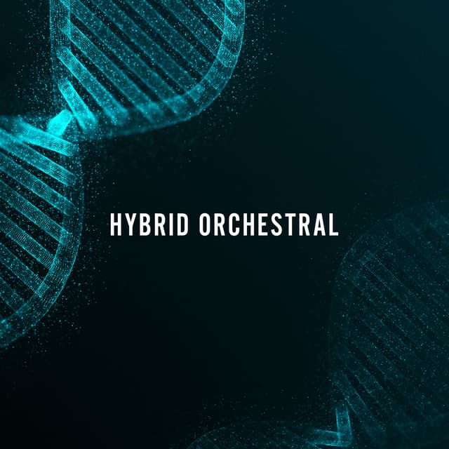 Hybrid Orchestral