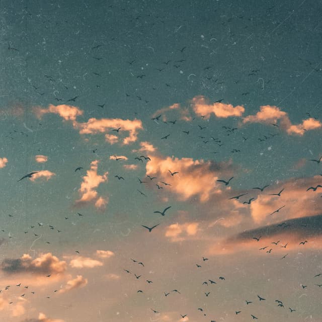 English Pastoral Orchestra