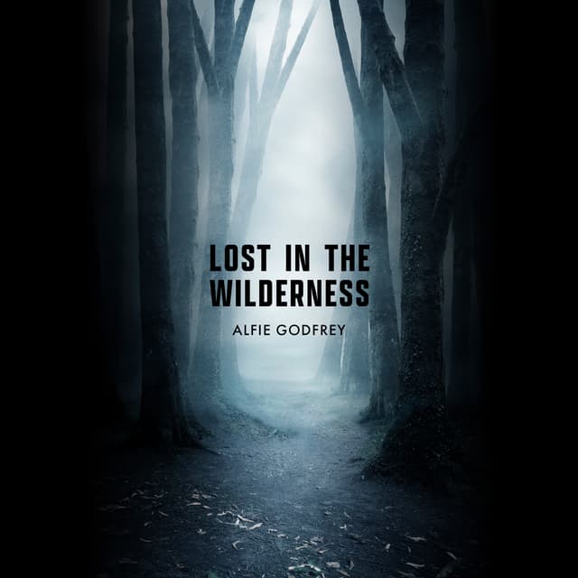 Lost In The Wilderness