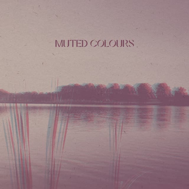 Muted Colours